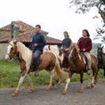 caballos asturianos