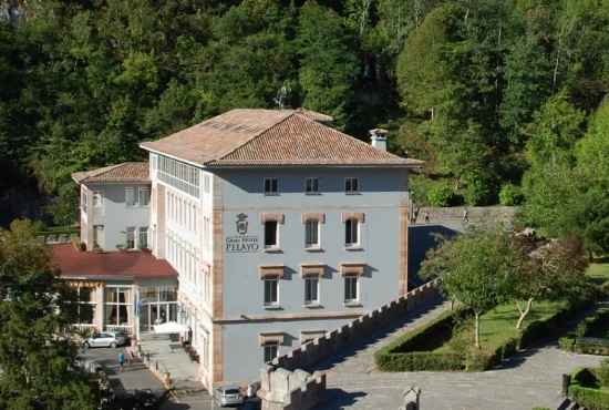 gran pelayo